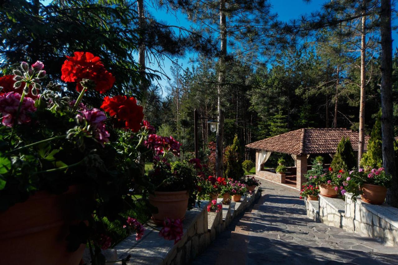 Hotel Helen Bacău Buitenkant foto